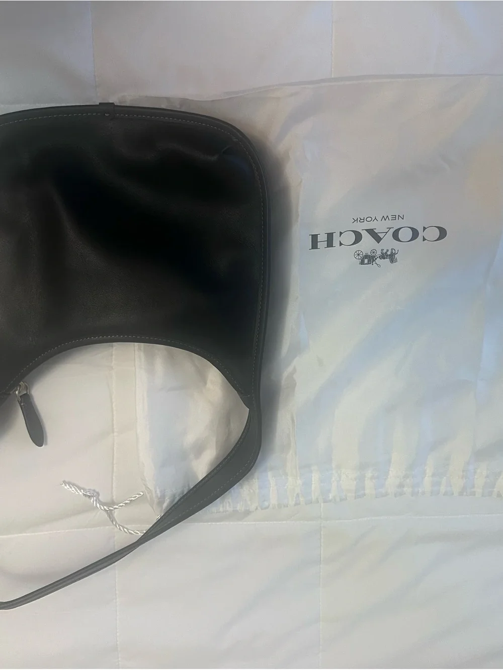 Coach Curve Zip Bag in Black